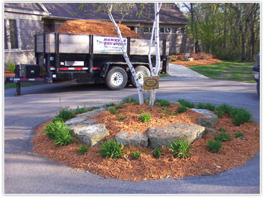 Photo of a landscaped yard in Rochester MN
